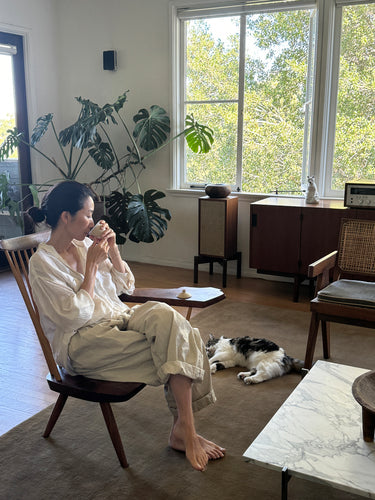 Living_room_w__Coco_520x500_cb